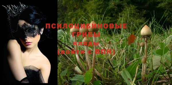 МДПВ Краснотурьинск