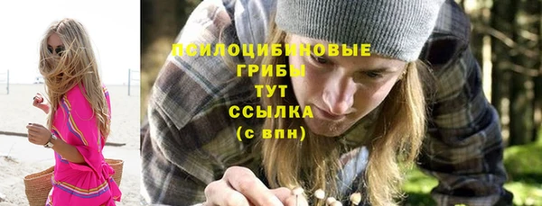 МДПВ Краснотурьинск