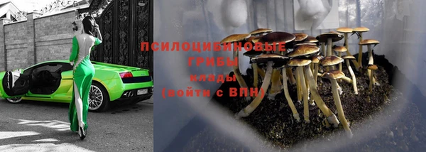 МДПВ Краснотурьинск