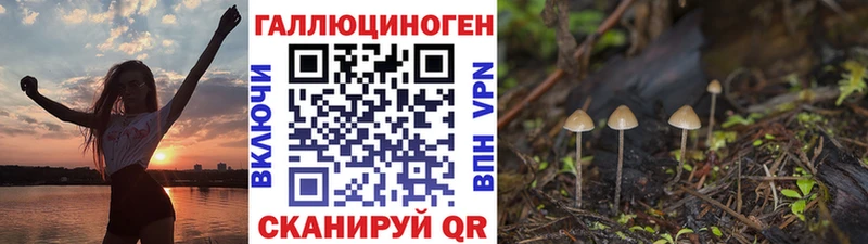Псилоцибиновые грибы Magic Shrooms  Купить где  Эртиль 